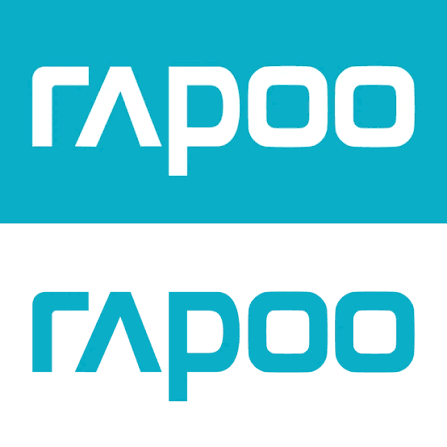 Rapoo